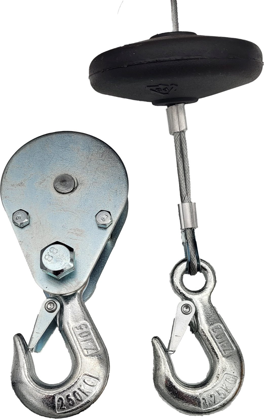 Seilzug elektrisch 125/250kg, 12m